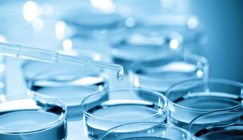 專利變現還是技術突圍？熱景生物科創板IVD首秀背后的市場考驗